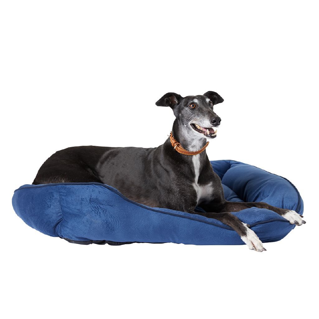 Animates dog beds new arrivals